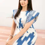 Printed Embroidered Dress – FS25-30